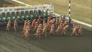 #RandomVideos Dinosaurs take the track in viral T-Rex race