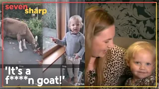 Young girl’s expletive-laden rant about a goat goes viral | Seven Sharp