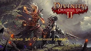 Divinity original sin 2. Прохождение на русском. Часть 14: Огненные хряки?!