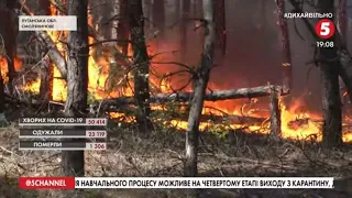 "Ліс горів 4 доби перш, ніж приїхали гасити": мешканці Луганщини розповіли про слідки пожежі