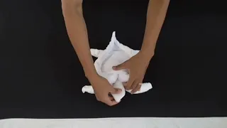 towel folding