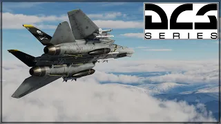 DCS - Caucasus - F-14B - Online Play - Going For The Eyes