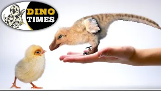 What is the Chickenosaurus? Dino Times.