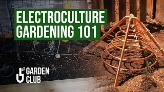 How to Start With ⚡️ELECTROCULTURE Gardening