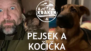 Žijeme na chalupě - díl 12. Pejsek a kočička