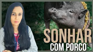 Sonhar com Porco Significado! Pastora Rosiane