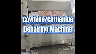 Cattlehide Dehairing Machine Cowhide Dehairer Beef Abattoir Slaughtering Equipment Machinery