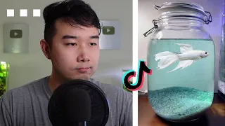 TikTok's BETTA FISH Jars are CRAZY | Fish Tank Review 230