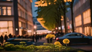 Deutschland Song 2024 in Annalena Baerbock Deutsch