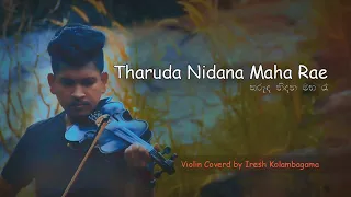 Tharuda Nidana Maha Rea (තරුද නිදන මහ රෑ) |Violin Cover| ඉresh Kolambagama