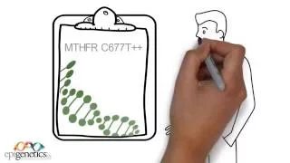 MTHFR Animation