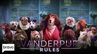 If Vanderpump Rules Starred Dogs | Vanderpup Rules | Bravo
