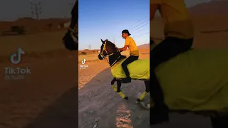 الخيل العربي