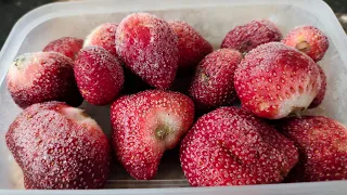घर पर स्ट्रॉबेरी कैसे स्टोर करें।how to store strawberry at home easily।स्ट्रॉबेरी स्टोर करना सीखें।