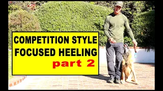 Competition Focused Heeling part 2 - Dog Training Video