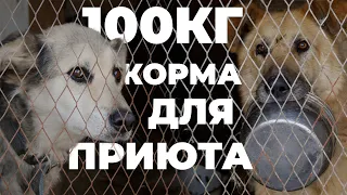 Привезли еду в приют для собак! ШОК! 100КГ КОРМА НА 4 ДНЯ!