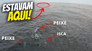 Pesca em MAR ABERTO é ASSIM! Veja as MELHORES DICAS! Loja Universo Fishing