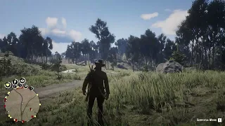 Red Dead Redemption 2 - The lamest bounty hunters ever