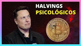 💥 Pánico en BITCOIN 💥 Halving psicológico