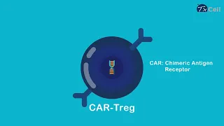 CAR T / Treg therapy animation for TxCell