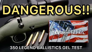 DANGEROUS LEGEND!! 350 Legend Hornady American Whitetail 170gr Ammo Test