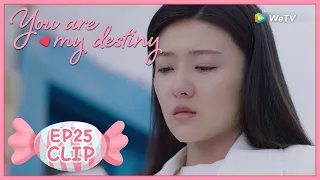 【You Are My Destiny】EP25 Clip | Jiaxin decided to go aboard with Dylan? | 你是我的命中注定 | ENG SUB
