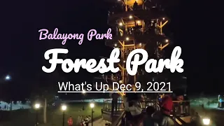 Forest Park- Part of Balayong Park Puerto Princesa / What to See as of Dec 9, 2021?