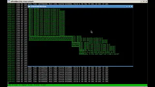 Opening X11 with raw C