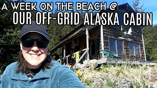A Week @ Our Off-Grid Alaska Cabin | Family Trip