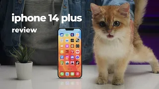 Bóc PHỐT iPhone 14 Plus !