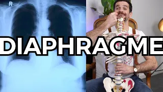 Les secrets du diaphragme (enfin) dévoilés !