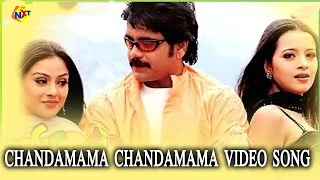 Chandamama Video Song | Bava Nachadu Telugu Movie Songs | Nagarjuna, Reema Sen, Simran | TVNXT Music