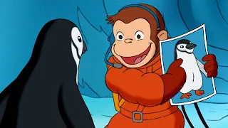 Cocos Suche nach Pinguinen | Coco der Neugierige | Cartoons für Kinder