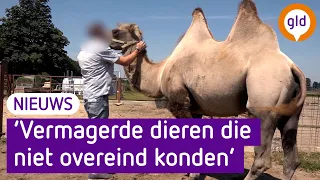 Vijfjarig VERBOD op houden van dieren voor Bert's Animal Verhuur uit Appeltern