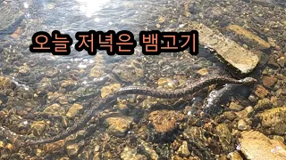 뱀 보고 운동하기