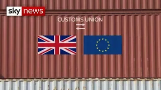 Brexit crisis: What is a customs union?