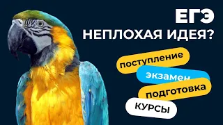 Что думает о ЕГЭ преподаватель биологии?