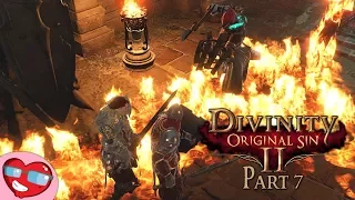 Divinity: Original Sin 2 - Magister Houndmaster - Part 7 - Let's Play Co-op Gameplay