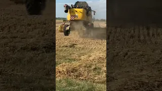 trebbiatura grano tenero 2021