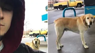 Man Goes To Help ‘Lost’ Dog But Freezes When He Reads The ID Tag