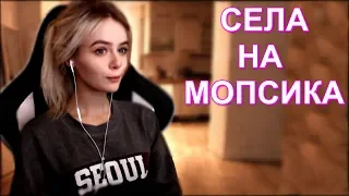 Gtfobae Случайно Села На Мопса