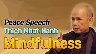 Mindfulness [Thich Nhat Hanh peace Speech 2]