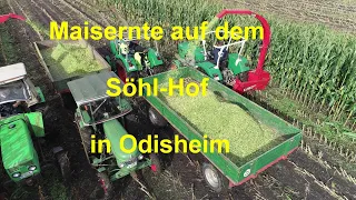 Maisernte mit Oldtimern in Odisheim 2023