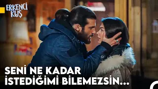 Sanem'in Aşkı Bulma Yolculuğu #100 - Erkenci Kuş