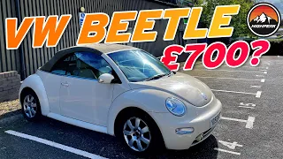 I BOUGHT A CHEAP VW BEETLE CONVERTIBLE