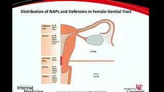 04/16/13 Immunologic Disorders of the Reproductive Tract