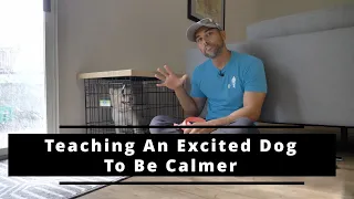 Teaching An Overexcited Dog To Be Calmer