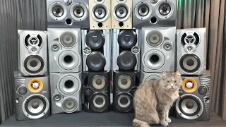 Micro System MAYHEM - Blowing 9 pairs of speakers!