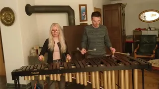 Titanium (David Guetta) feat. Firework (Katy Perry) - Marimba Cover