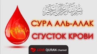 Сура Аль-Алак (Сгусток крови) | Surah "Al-Alaq" | Омар Хишам Аль Араби | Omar Hisham Al Arabi